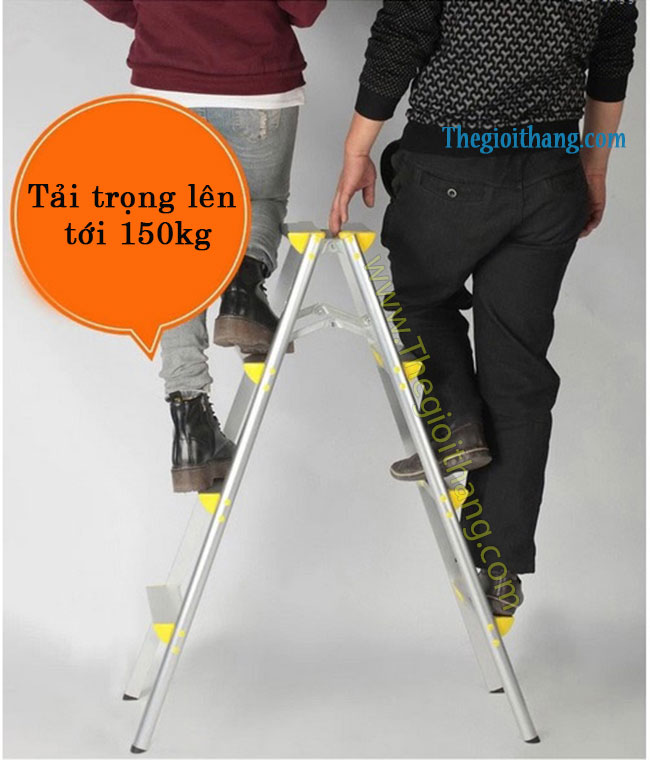 Thang nhôm Keiwa R03 - Ảnh 13