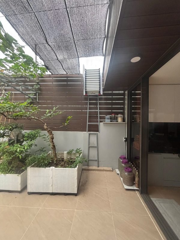 Thang ốp tường thu gọn thực tế