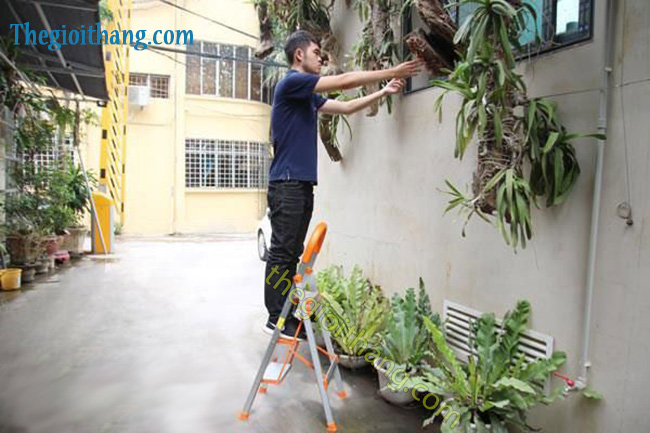 Thang ghế gia đình INOX Nikita NKT-N203 - Ảnh 12